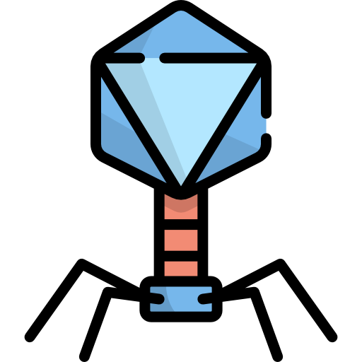 Virus